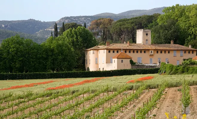 Achat de propriété viticole, Hyères, Kasendra Conciergerie